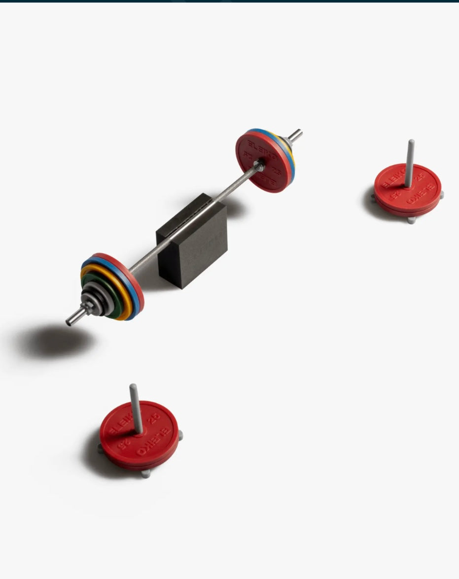Eleiko mini barbell set
